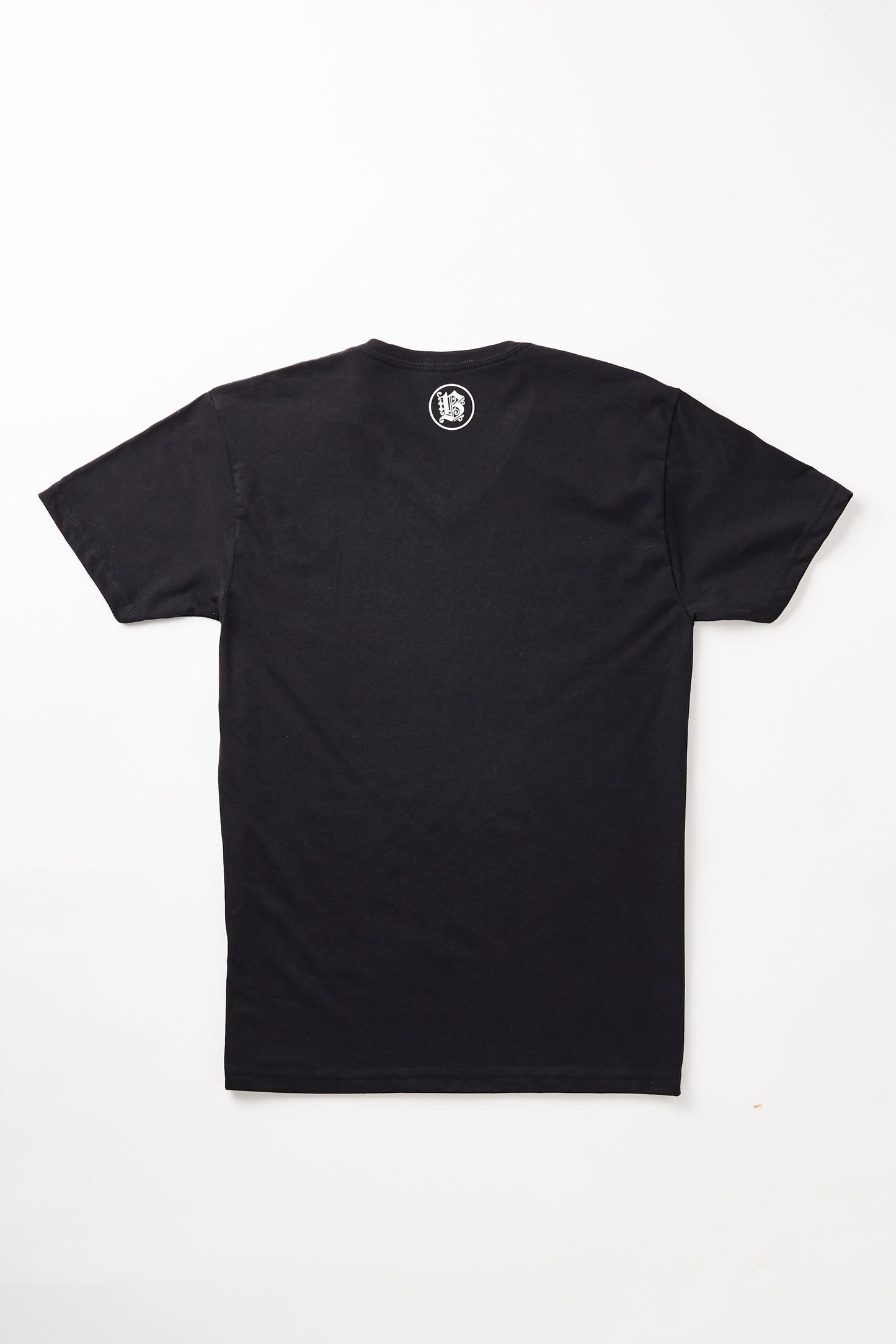 Beiler’s V-Neck T-Shirt