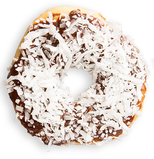 Chocolate Coconut Iced